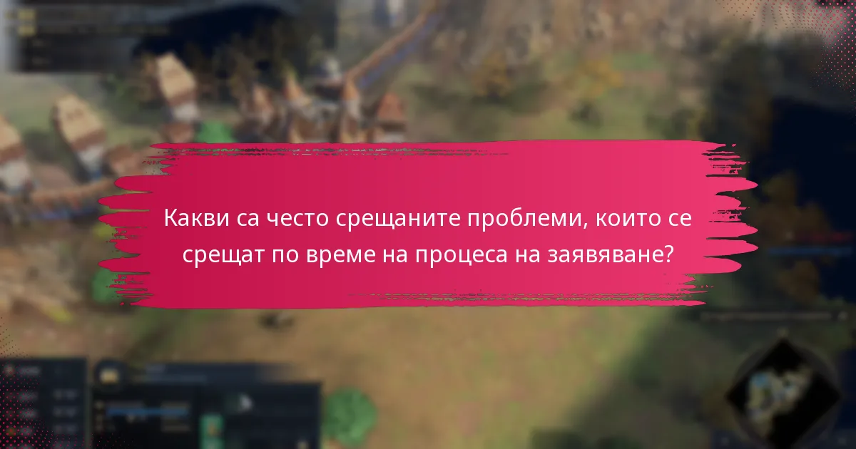 Какви са често срещаните проблеми, които се срещат по време на процеса на заявяване?